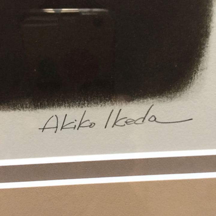 ダヤン ジグレー版画 - メルカリ