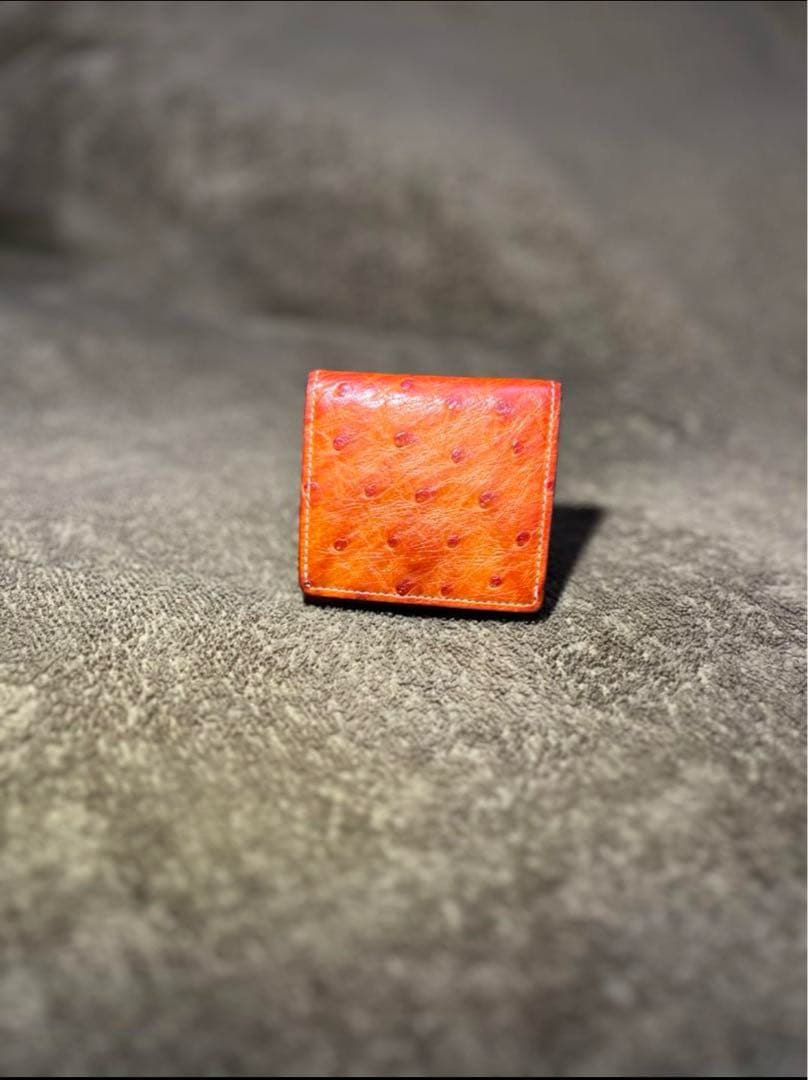 GANZO ケース　オーストリッチ　オレンジ