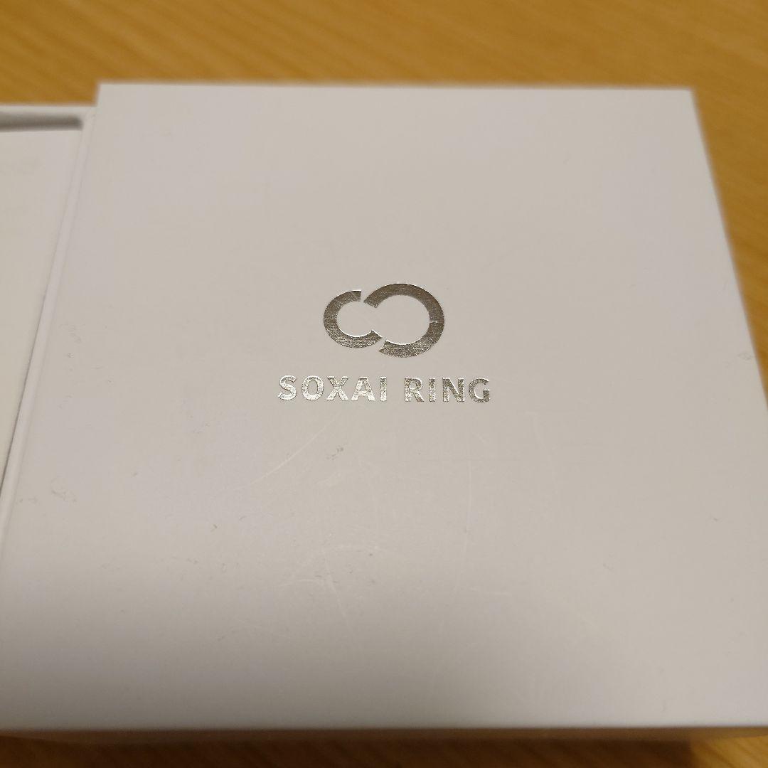 SOXAI RING 1.1 ソクサイリング マットシルバー 22号