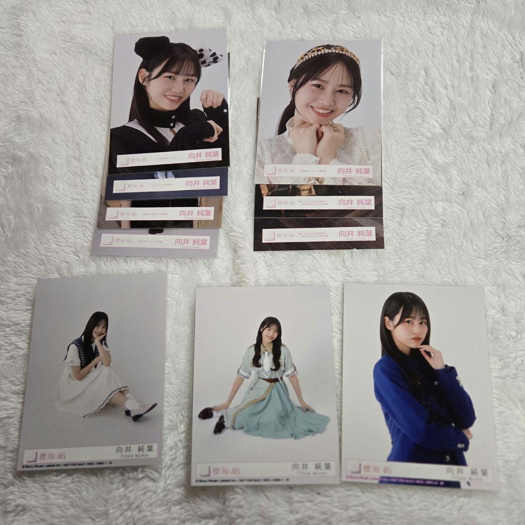 櫻坂46 向井純葉 生写真、ポストカードまとめ売り - メルカリ