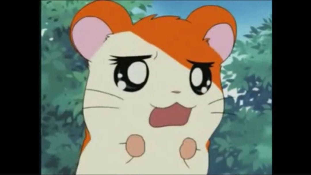 専用 あとで値段変えます