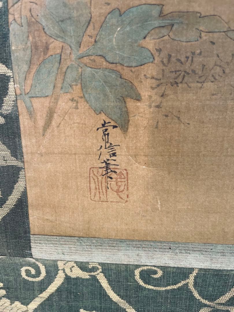 掛け軸 狩野常信 猫圖 - メルカリ