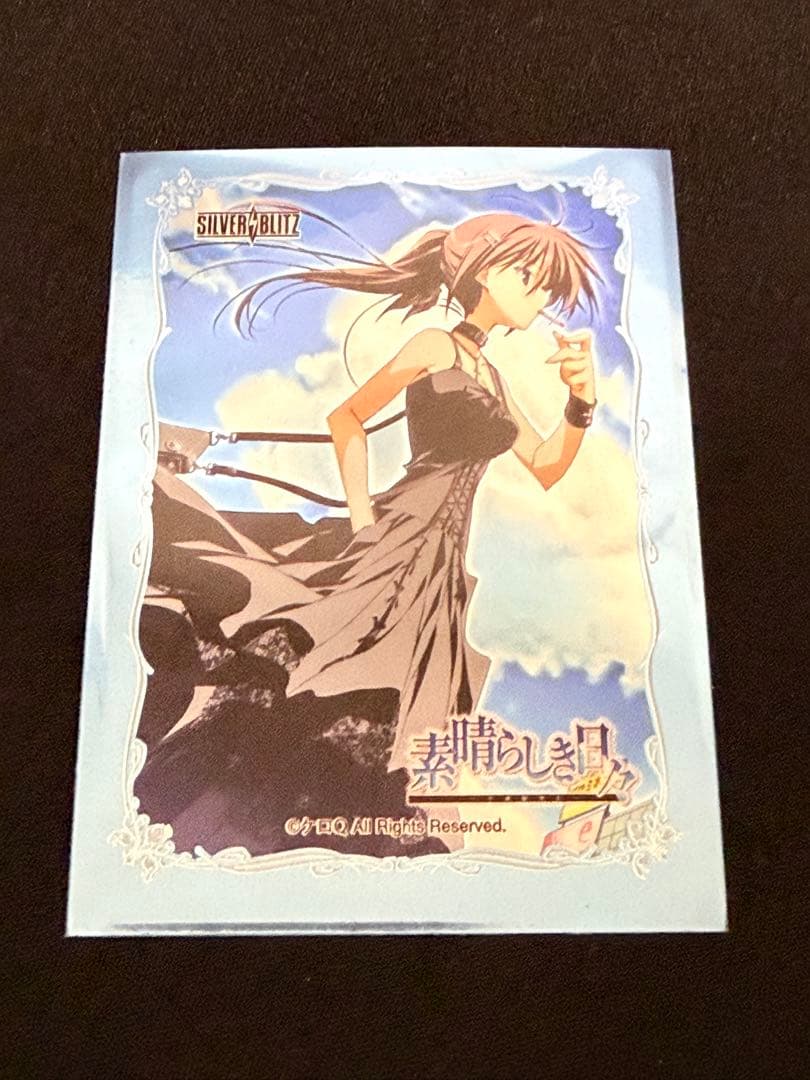 素晴らしき日々〜不連続存在〜 水上由岐 スリーブ 65枚入