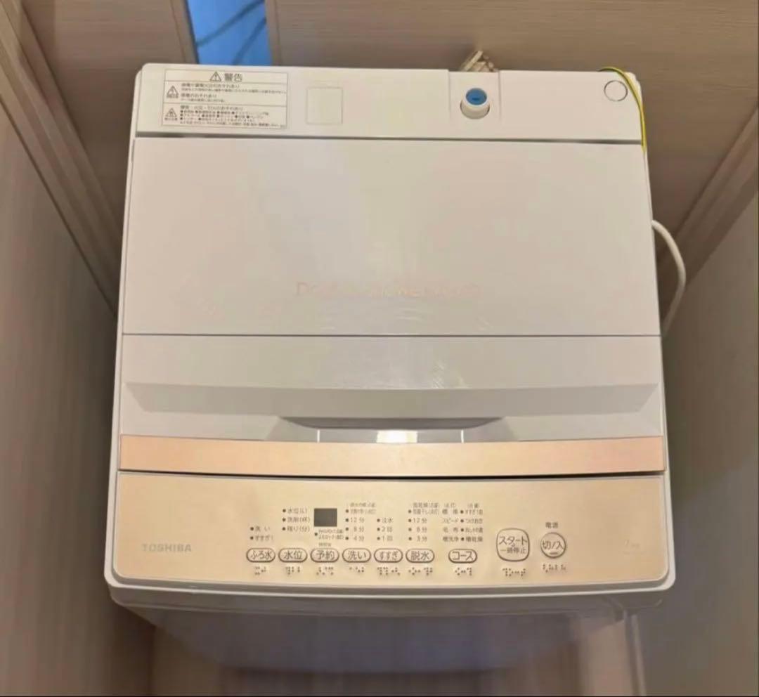 にゃんこスター