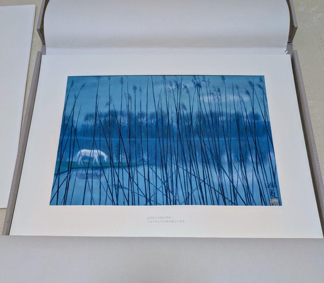 東山魁夷 作品集 『白馬幻想』日本経済新聞社 1990年