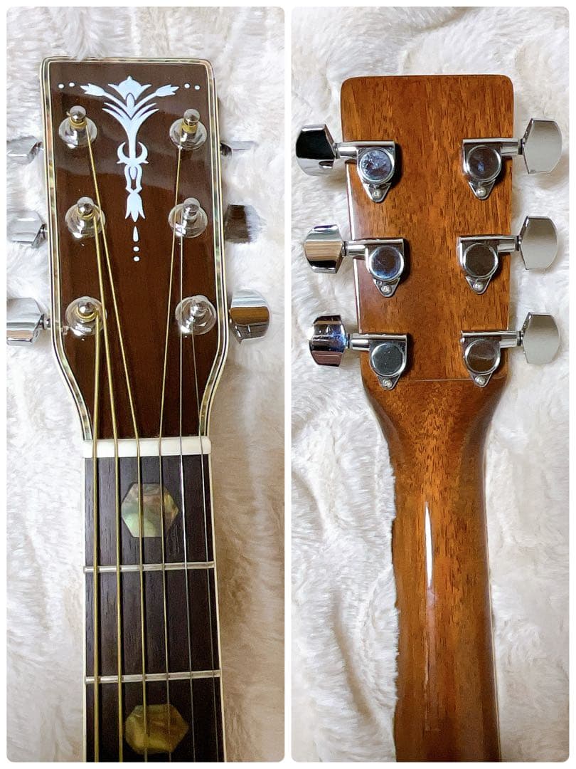 Aria アリア ADW-300 N アコースティックギター アコギ - メルカリ