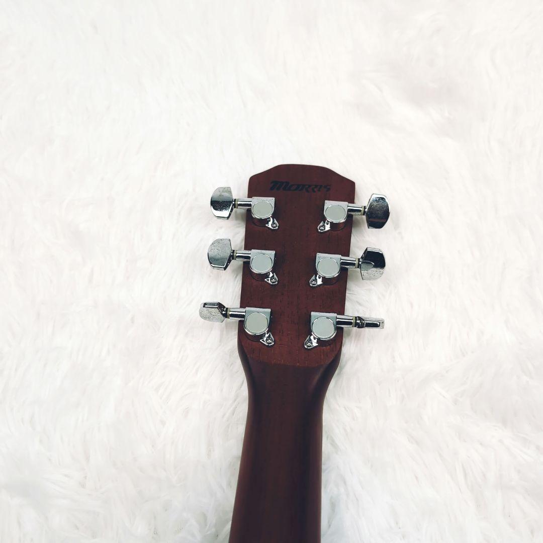 Morris ギター 本体のみ M-01ⅡTS MATSUMOTO - メルカリ