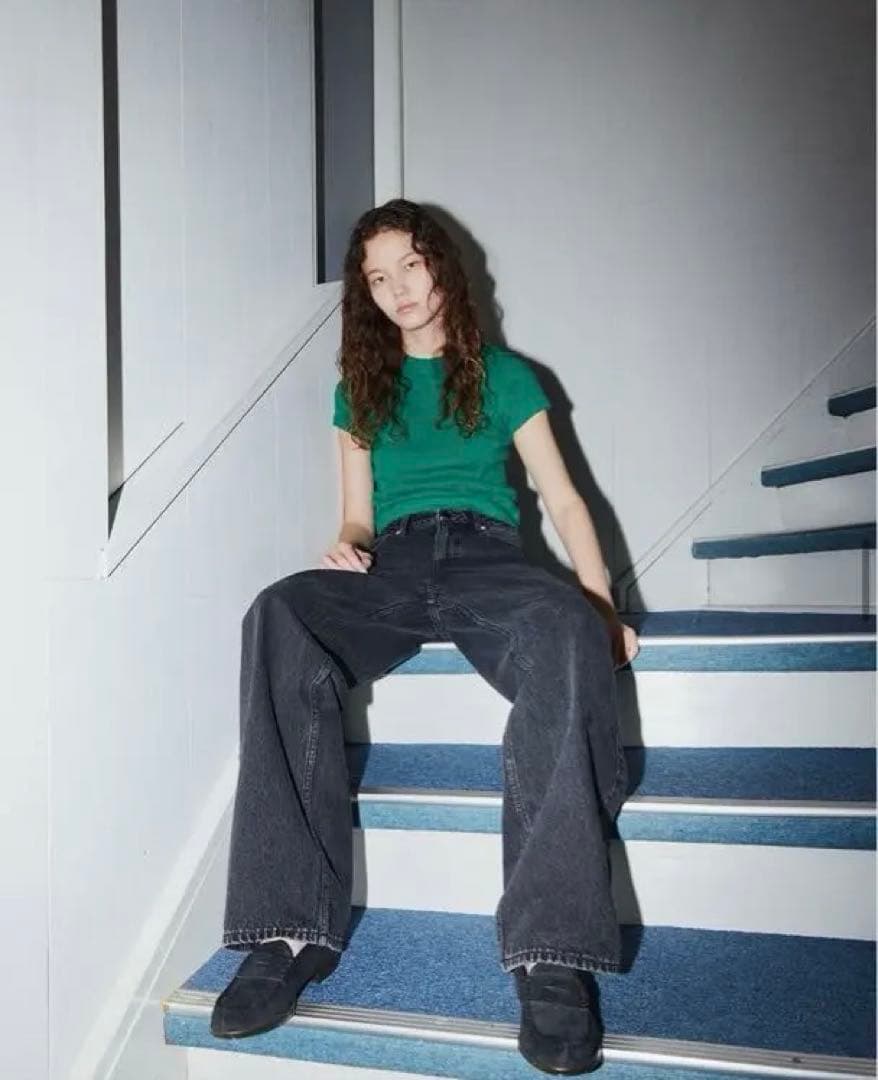 THE SHISHIKUI Daco デニム　ブラック