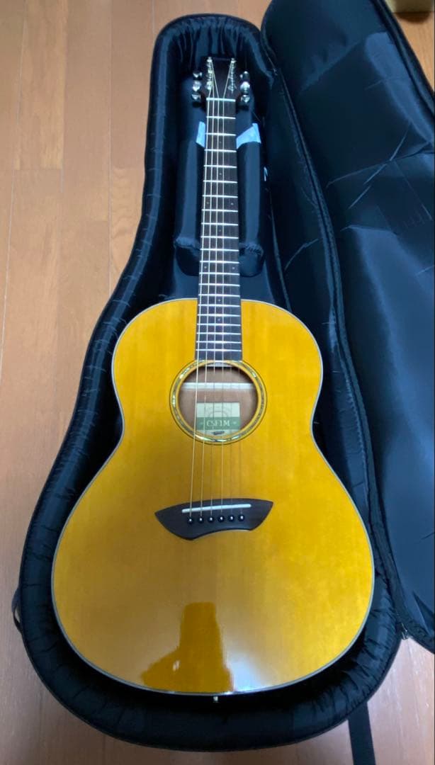 最終値下げ！ CSF1M VN アコギ ギター アコースティックギター