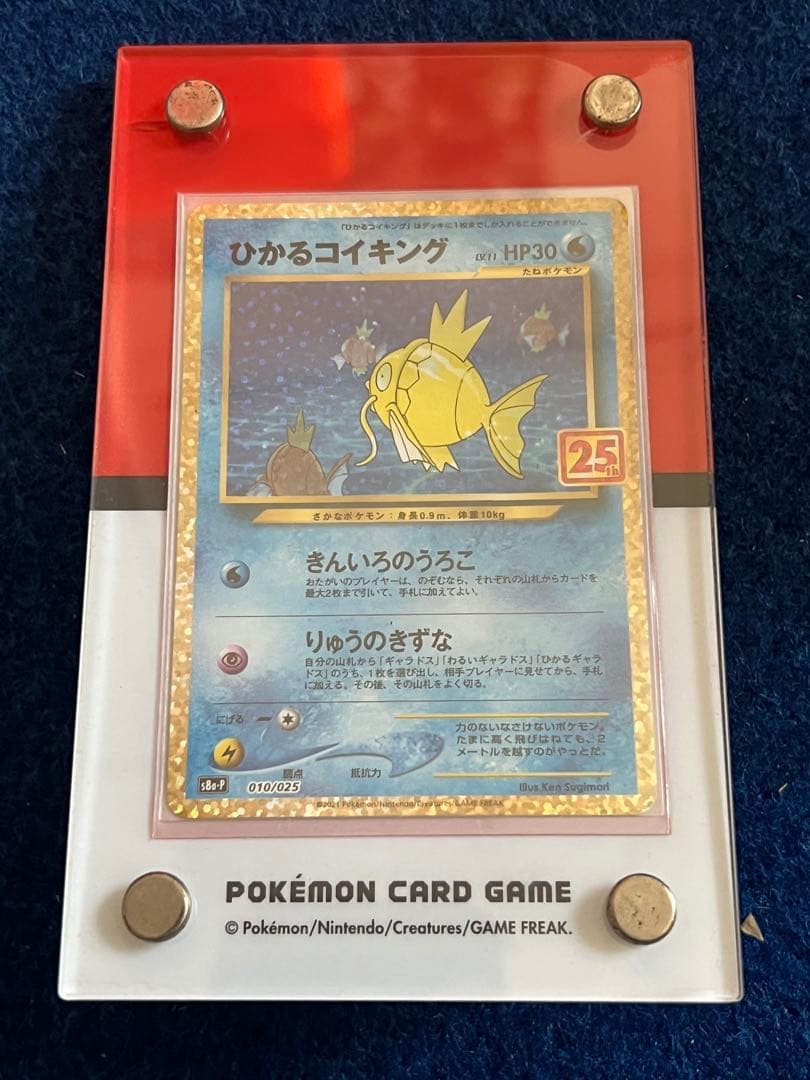 ひかるコイキング25th