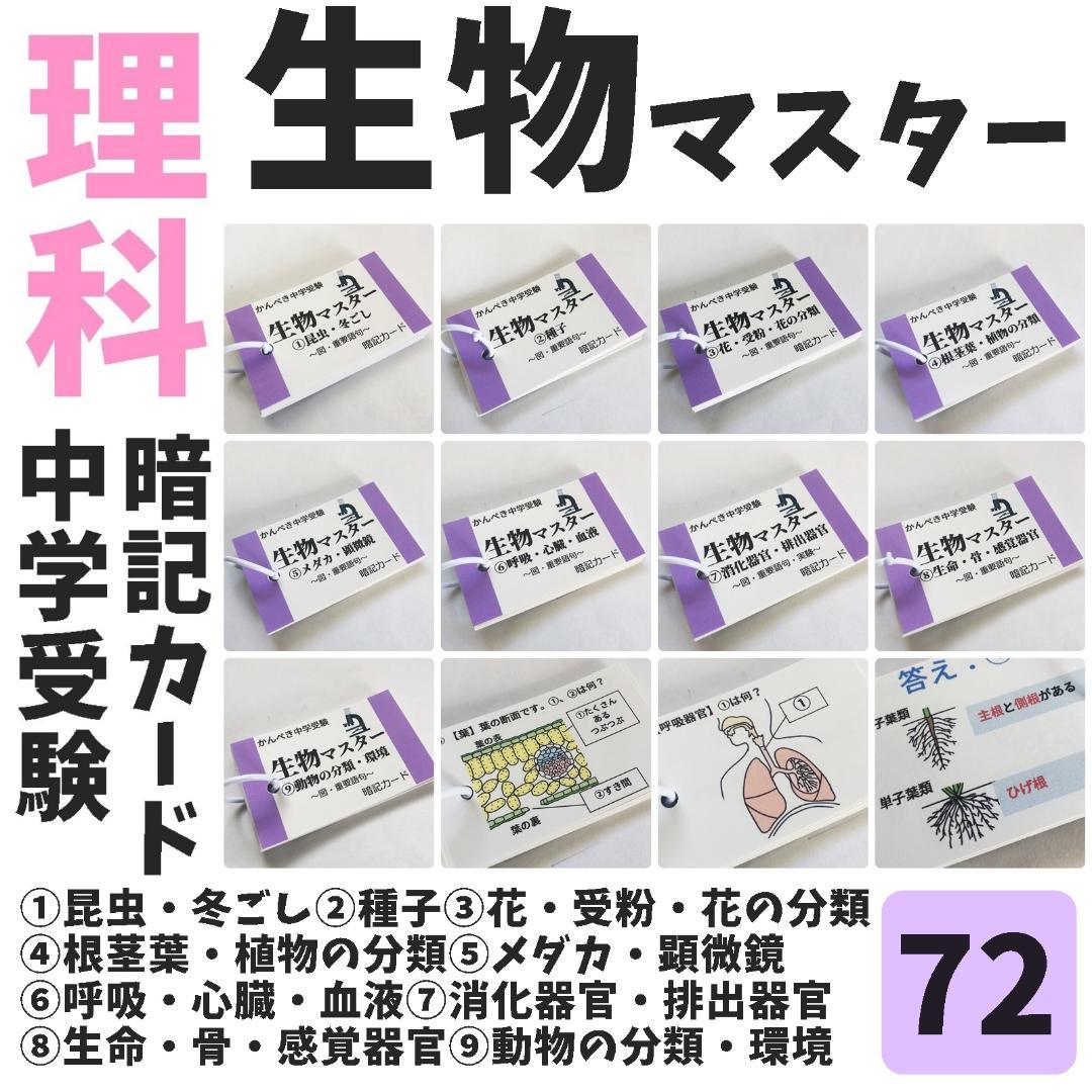 中学受験セット商品【100】国語・算数・理科・社会 暗記カード テスト