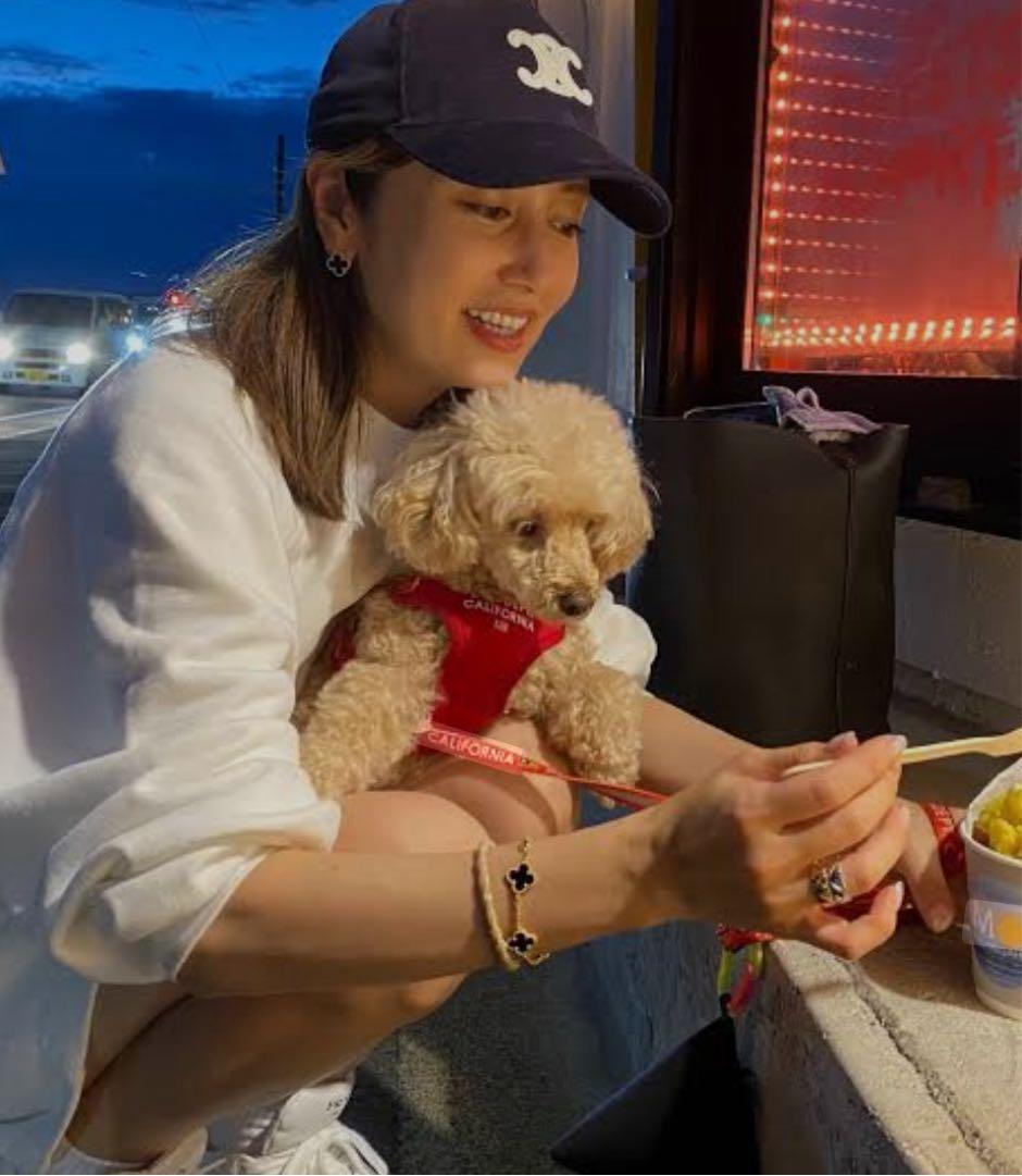 CELINE セリーヌ トリオンフ ベースボールキャップ M 人気