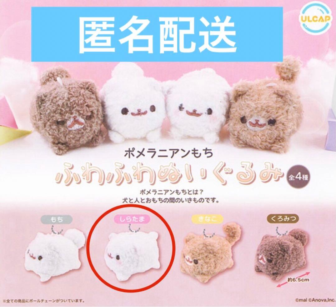 ポメラニアンもち ふわふわぬいぐるみ しらたま - メルカリ