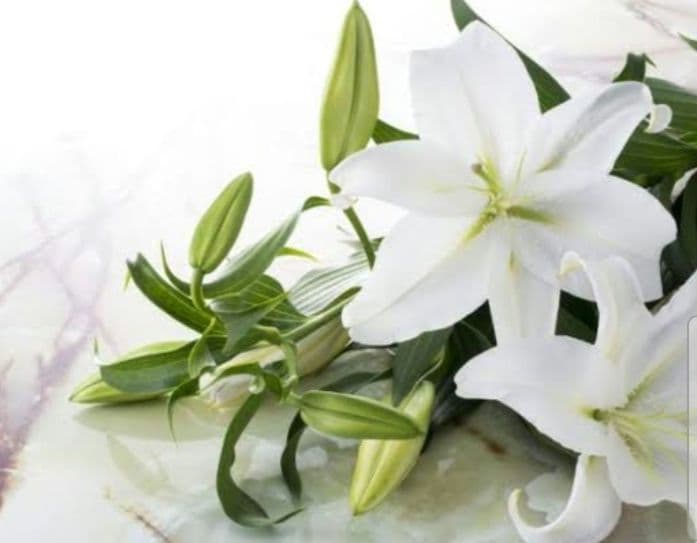 いみる　TAラージボトル2本セット