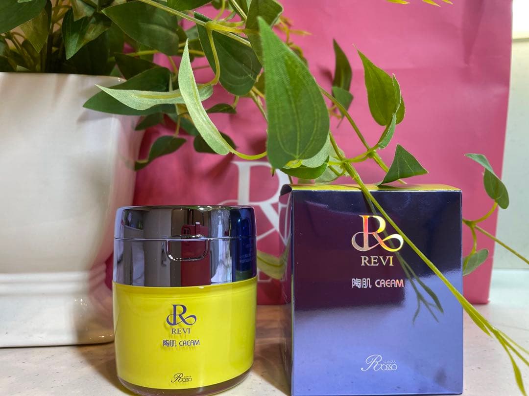 REVI ルヴィ【NEW 陶肌クリーム】50ｇ