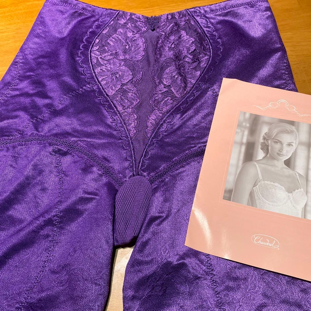 お値下げ新品未使用品シャンデール82ガードル