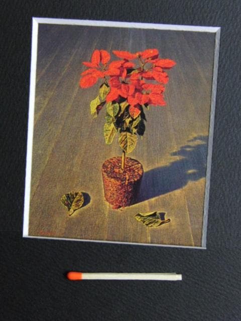 井沢幸三、『ポインセチア』、希少な画集より、新品高級額・額装付