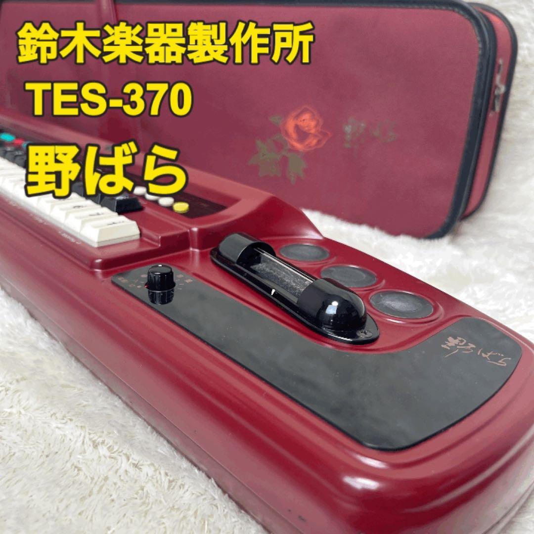 スズキ　SUZUKI 電子大正琴　TES-370 野ばら　動作確認OK 鈴木楽器製作所 3R3338○スズキ 和楽III わらくのひびき TES-371S 電子