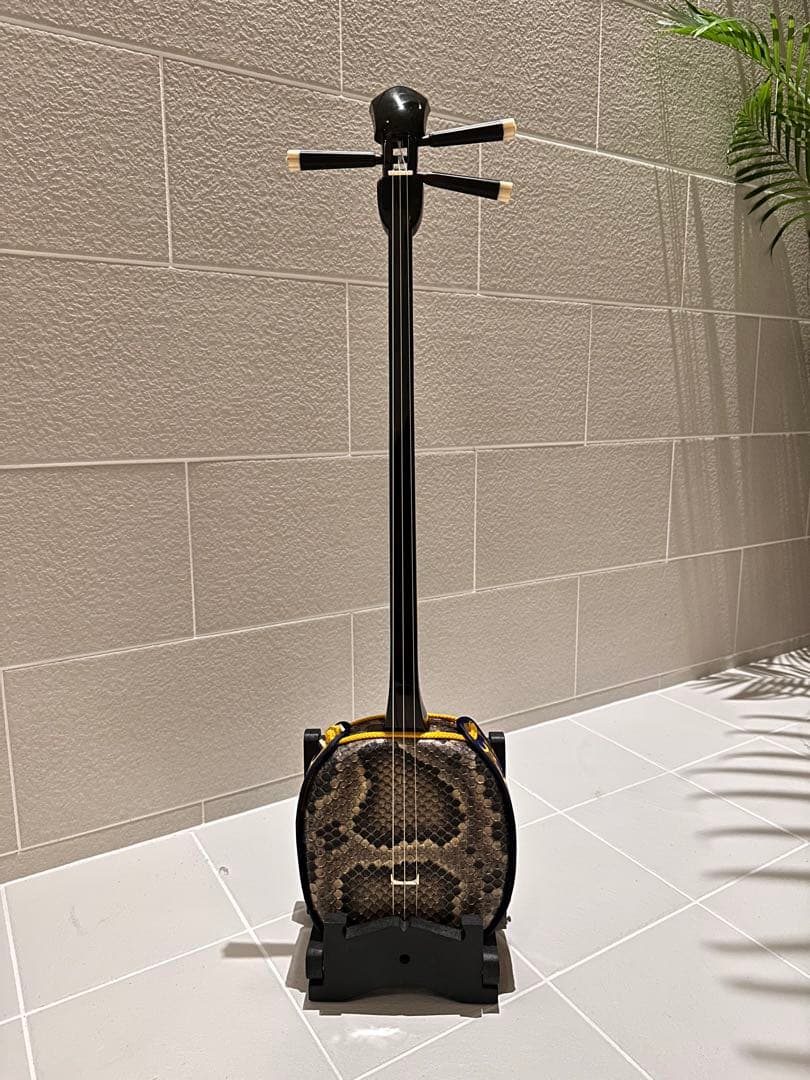 小与那型 高級カミゲン黒木 ウジラミ模様入