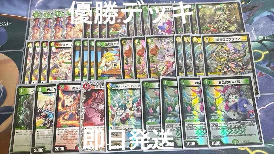 CS優勝　白緑ドリームメイト