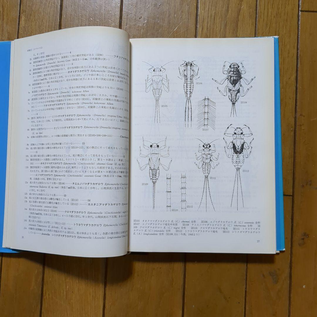 日本産水生昆虫検索図説 - メルカリ