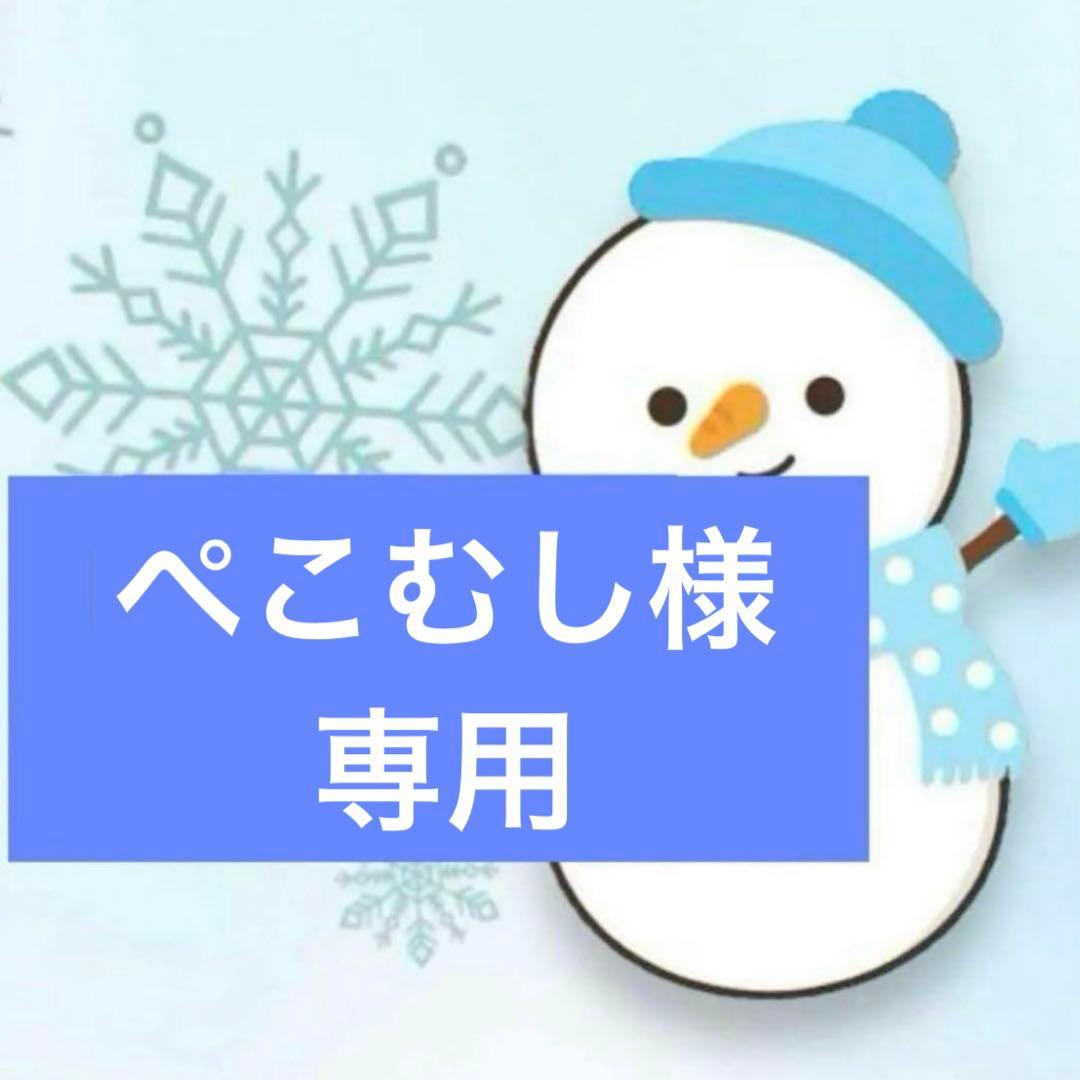 ぺこむし　エルサ精霊　風 ウイッグ
