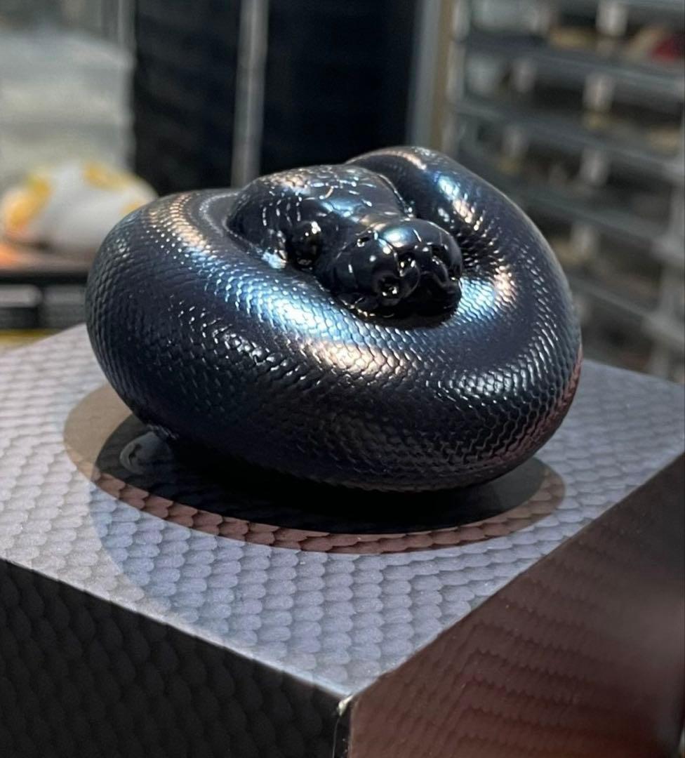 【30体限定！】【動物の惑星】ボールパイソン　フルブラック　アニマルプラネット