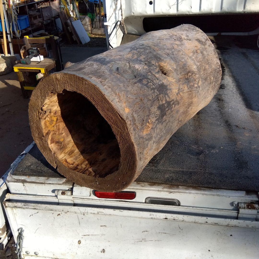 自然な木目の丸太 樹洞 丸洞 桐老木 昆虫飼育箱 英語版 自然な木目の丸太 樹洞 丸洞 桐老木 昆虫飼育箱