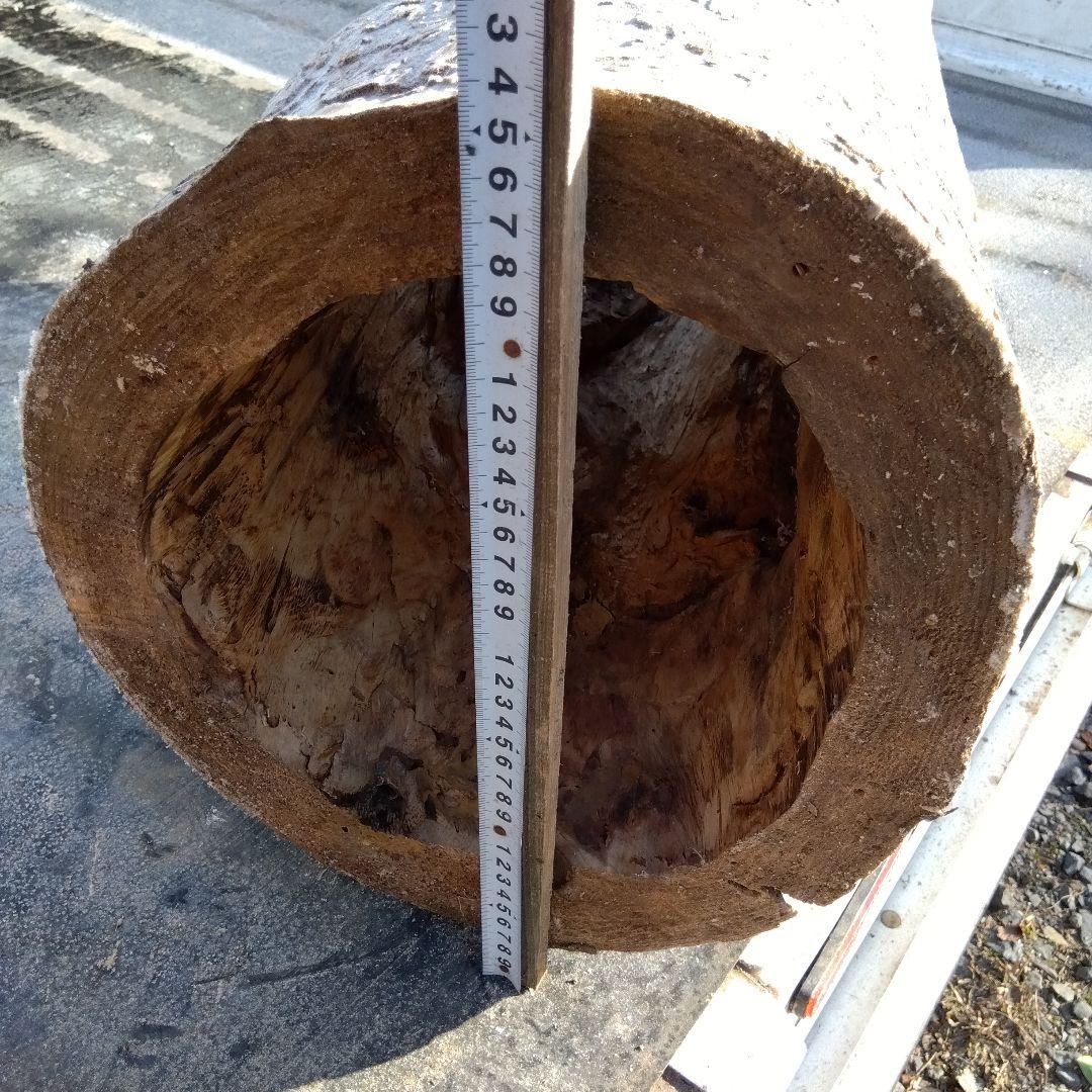 英語版 自然な木目の丸太 樹洞 丸洞 桐老木 昆虫飼育箱