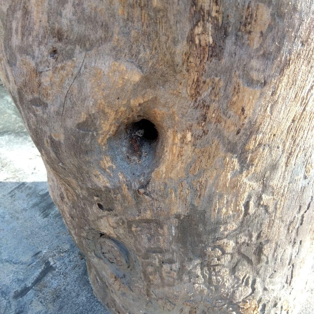 英語版 自然な木目の丸太 樹洞 丸洞 桐老木 昆虫飼育箱