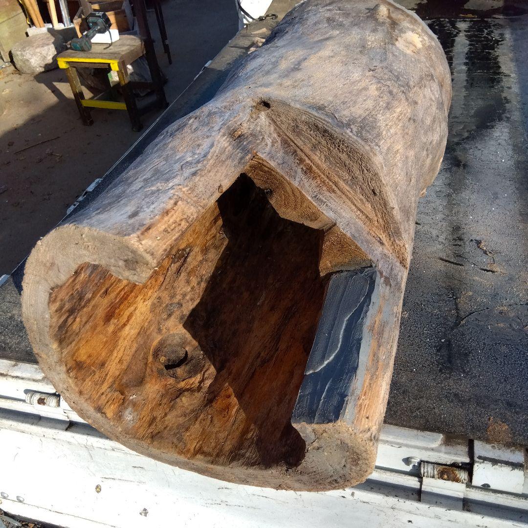 英語版 自然な木目の丸太 樹洞 丸洞 桐老木 昆虫飼育箱