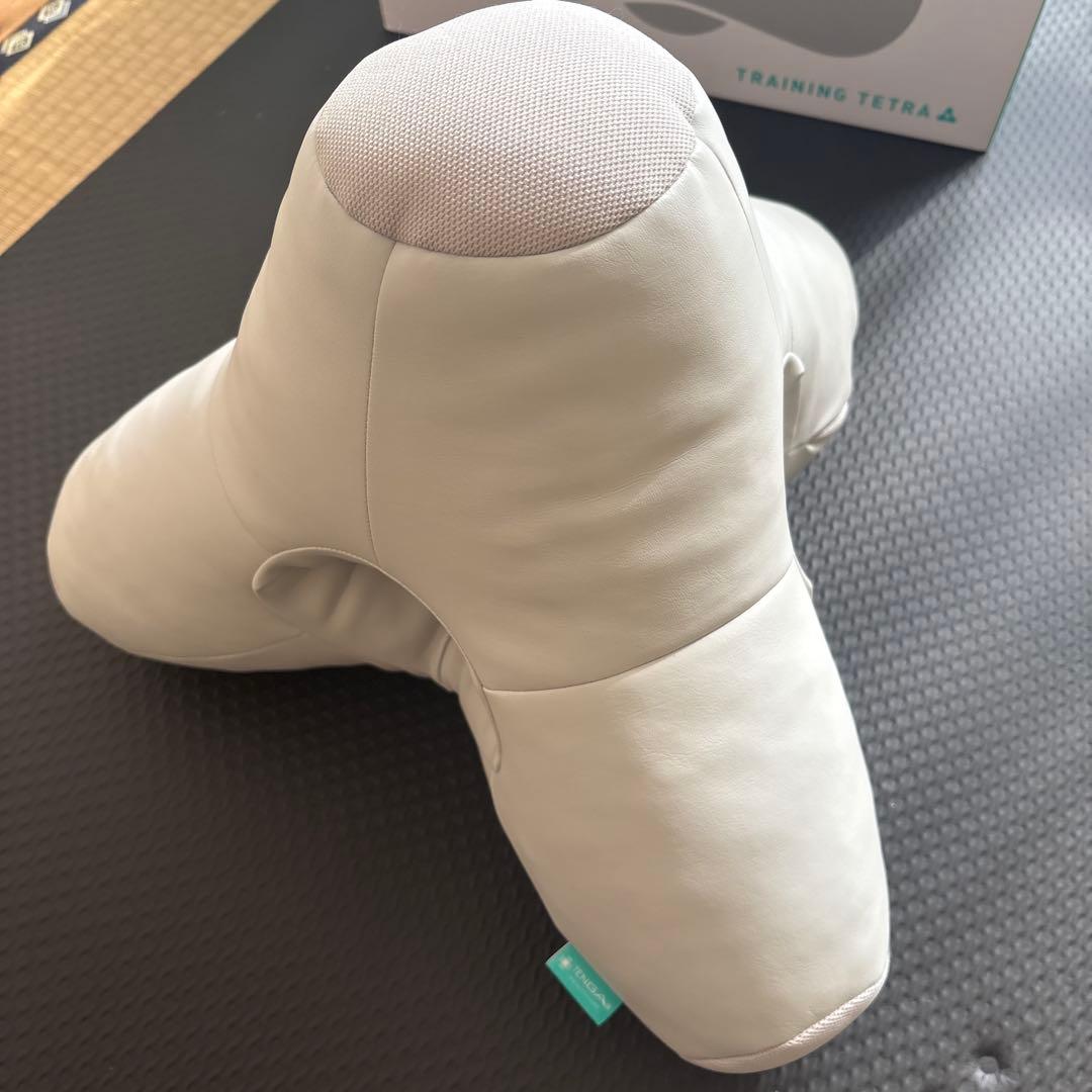 Training Tetra 体位変換クッション ホワイト
