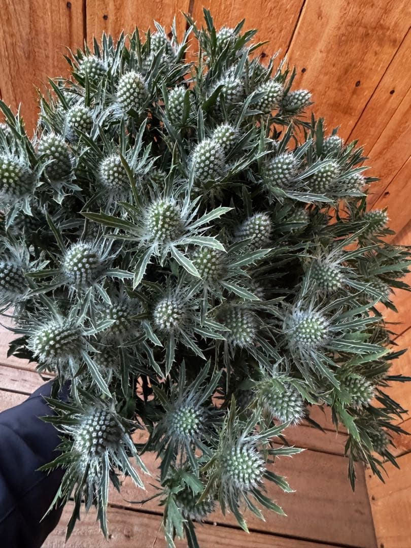 pp...様 リクエスト 3点 まとめ商品 ジェケジェケ様 リクエスト 3点 まとめ商品 - メルカリ