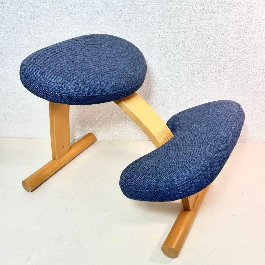 Rybo リボ社 バランスイージー バランスラボ ネイビー 姿勢矯正