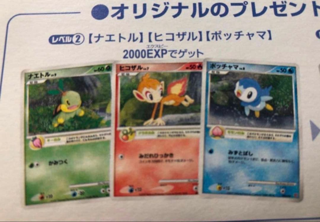 完全未開封 ポケモンカード ナエトル ヒコザル ポッチャマ プレイヤーズ プロモ