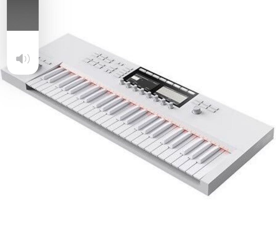 Komplete Kontrol S49 Mk2 限定カラー VaporGray - メルカリ