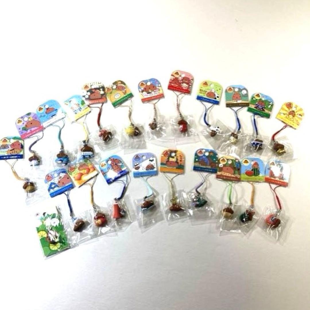 ご当地カピバラさんストラップ21点＆ファスナーマスコット1点