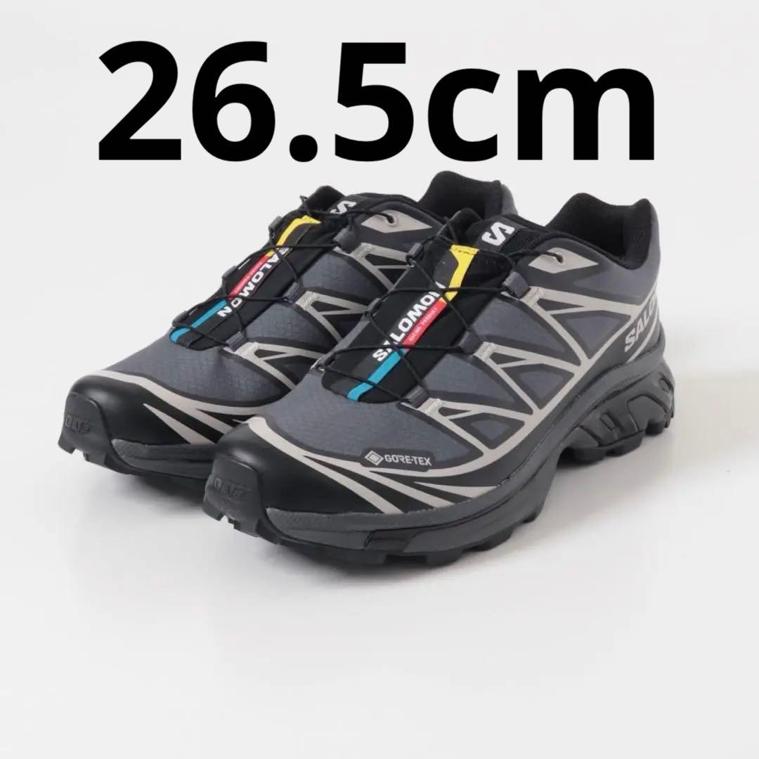 SALOMON（サロモン）XT-6 GTX / XT-6 GORE-TEX