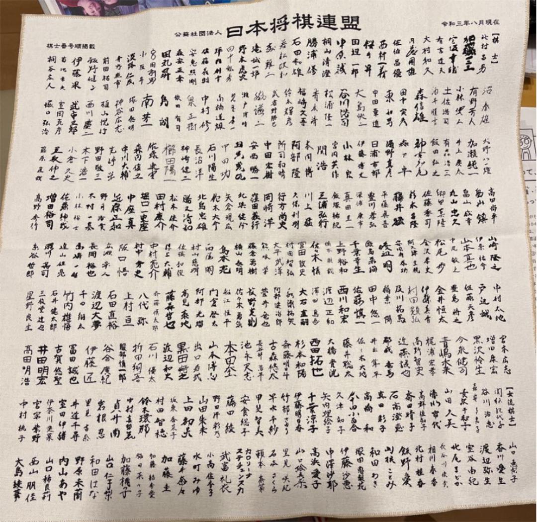 布の将棋盤 0000000016893_ok9enc8.jpg