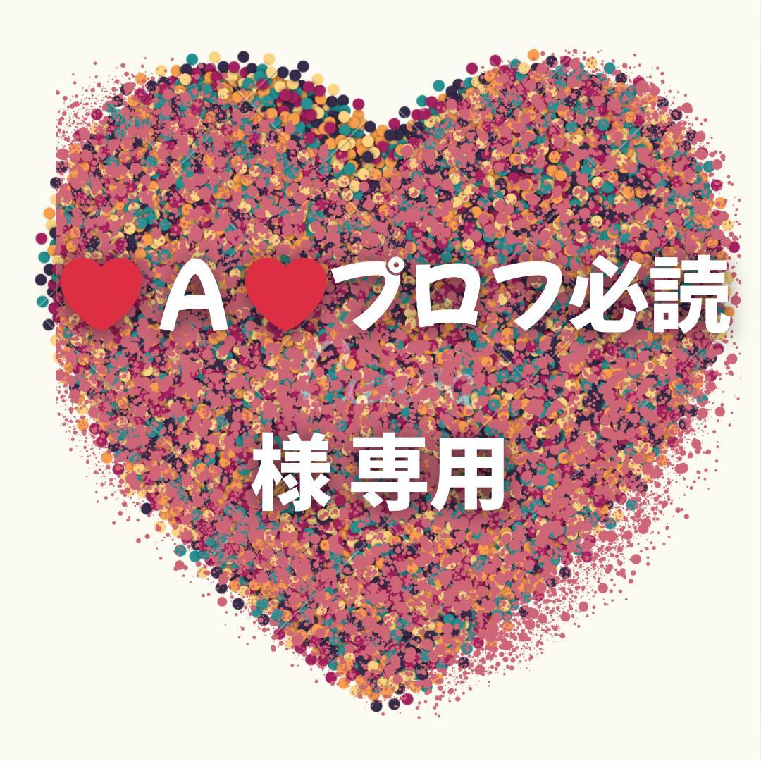 ❤︎ A ❤︎プロフ必読 様 専用ページ - メルカリ