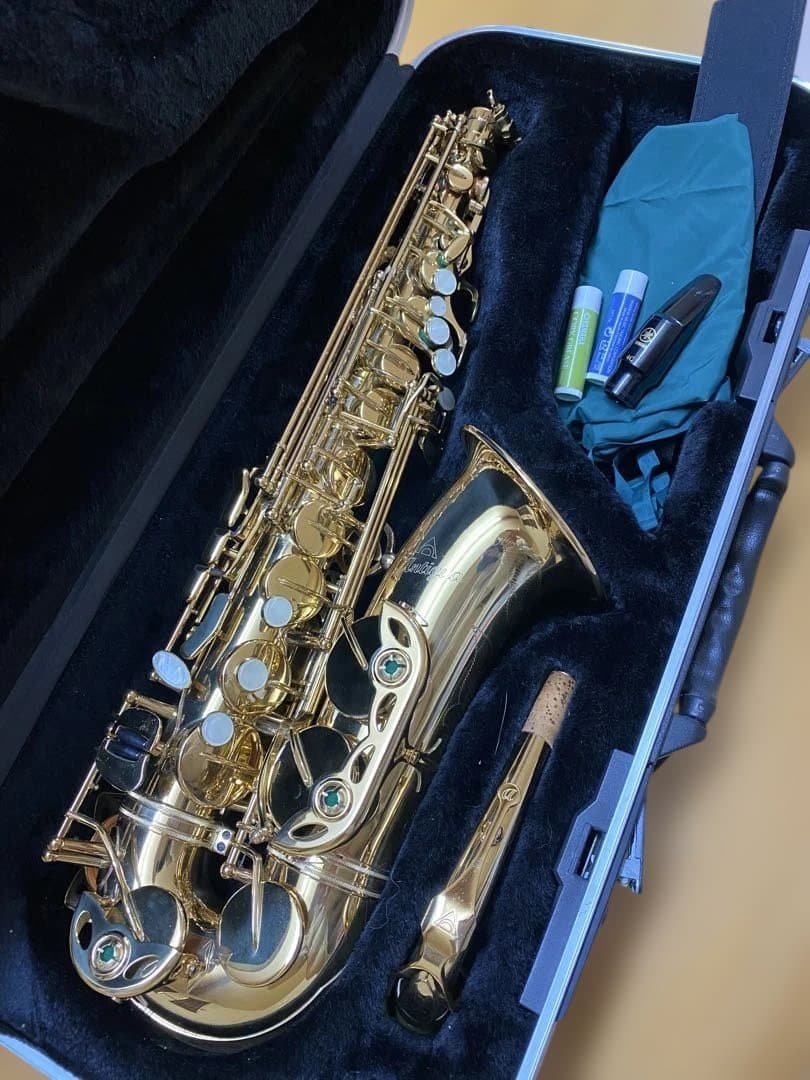 【美品】アンティグア　アルトサックス