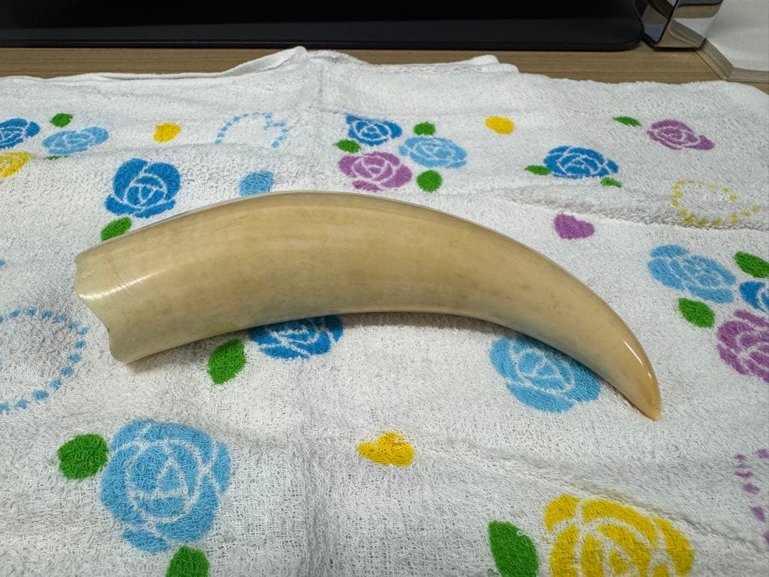 置物　オブジェ　210g イタリア レオパード AHURA 陶器 置物 オブジェ 風水 縁起物 パンサー