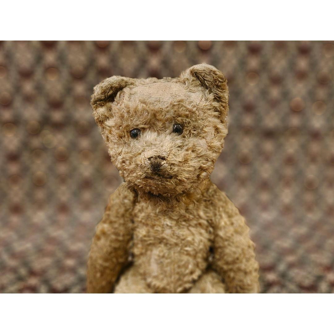 英国 イギリス アンティーク 静かな表情 テディベア こぐま 西洋骨董