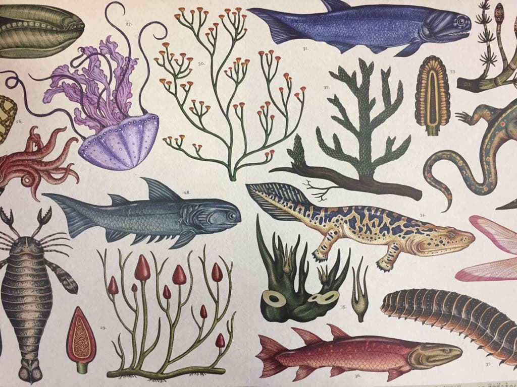 ［パプリカさま専用！］アロモア アロマディフューザー お部屋にもっとアロマを! 新アロマディフューザー【アロモアポータブル