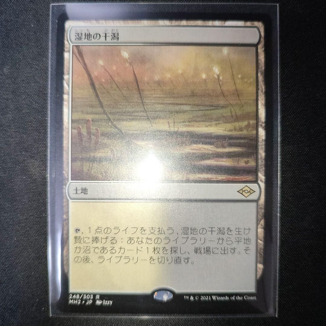 湿地の干潟 - メルカリ