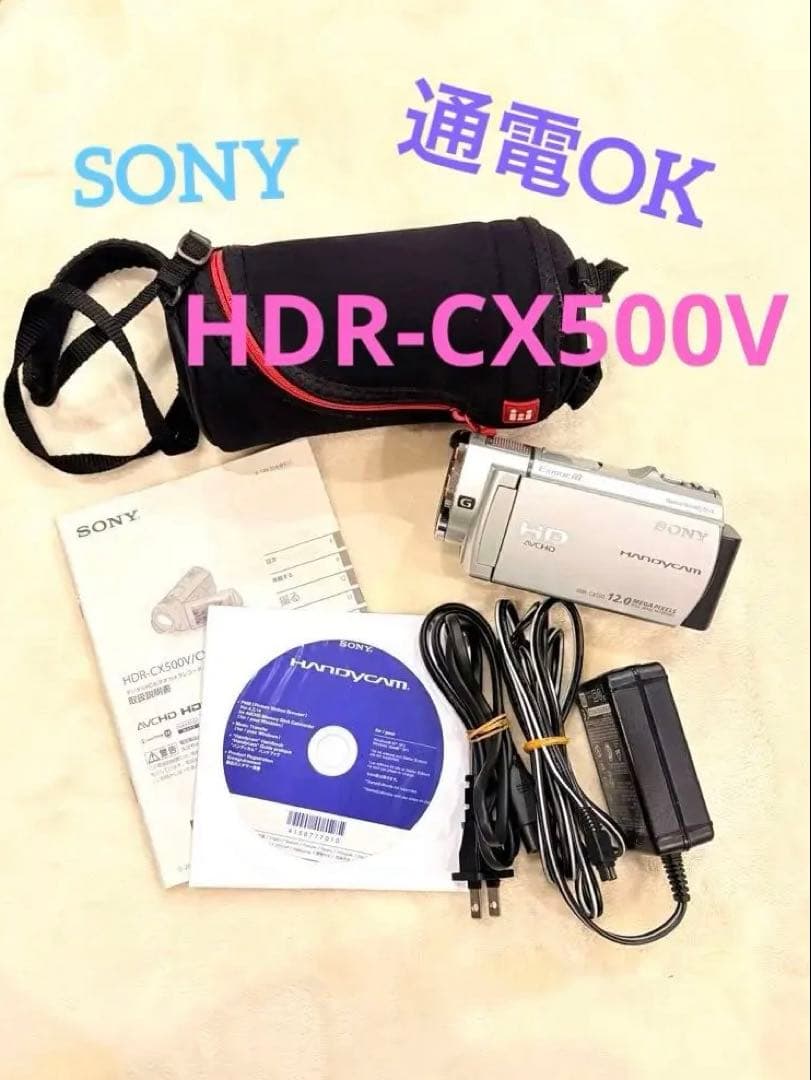 【動作◎】SONY Handycam HDR-CX500V 本体 ビデオカメラ