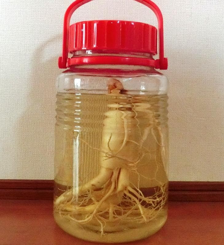 信州産★朝鮮人参酒（高麗人参酒）古酒　　8年根（165g）