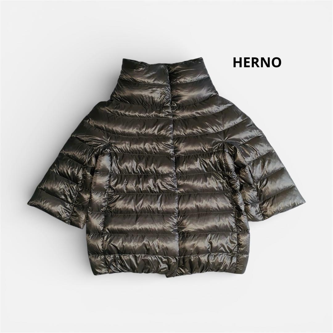 くみHerno ヘルノAMINTAアミンタ グレージュ ダウンジャケット