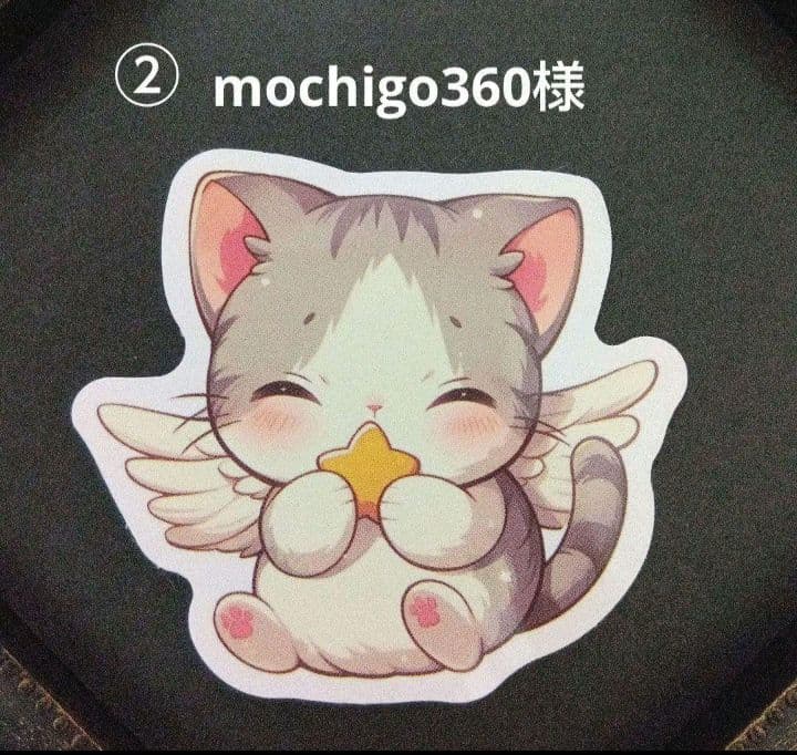 ②mochigo360様°・*:.。.☆