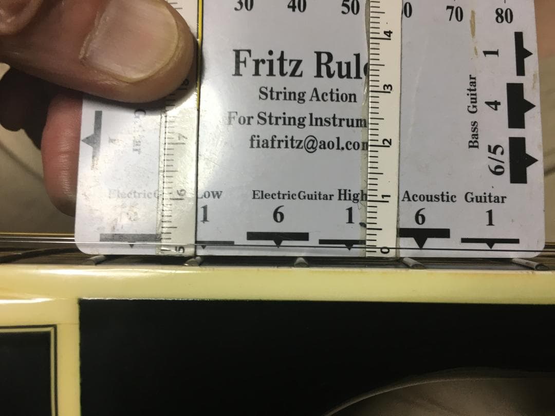 NPT 115　2系統出力　CT4DX　FishレアアースV付　調整済は動画で！